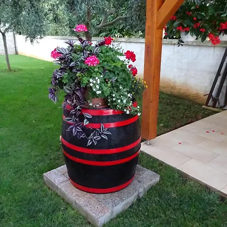 Family Friendly With A Swimming Pool Vinkuran, - 15736 Pula